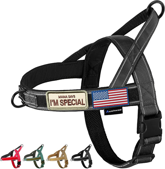 No Pull Dog Harness with Soft Padded Handle,Reflective Strip Escape Proof and Quick Fit to Adjust Harness,Easy for Training Walking for Small & Medium and Large Dogs(Green,L)