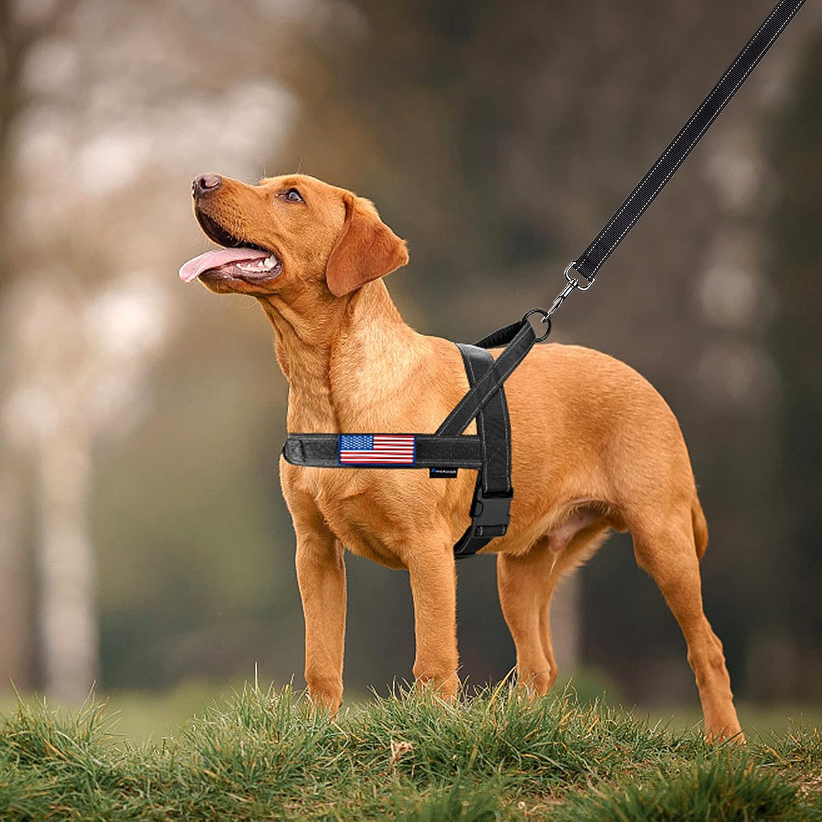 No Pull Dog Harness with Soft Padded Handle,Reflective Strip Escape Proof and Quick Fit to Adjust Harness,Easy for Training Walking for Small & Medium and Large Dogs(Green,L)
