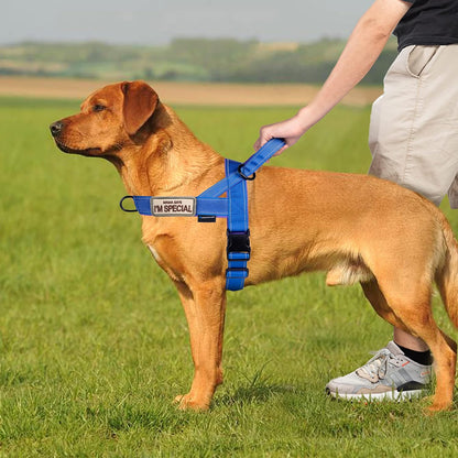 No Pull Dog Harness with Soft Padded Handle,Reflective Strip Escape Proof and Quick Fit to Adjust Harness,Easy for Training Walking for Small & Medium and Large Dogs(Green,L)