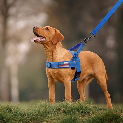 No Pull Dog Harness with Soft Padded Handle,Reflective Strip Escape Proof and Quick Fit to Adjust Harness,Easy for Training Walking for Small & Medium and Large Dogs(Green,L)