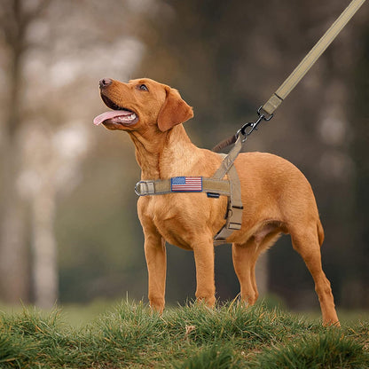 No Pull Dog Harness with Soft Padded Handle,Reflective Strip Escape Proof and Quick Fit to Adjust Harness,Easy for Training Walking for Small & Medium and Large Dogs(Green,L)