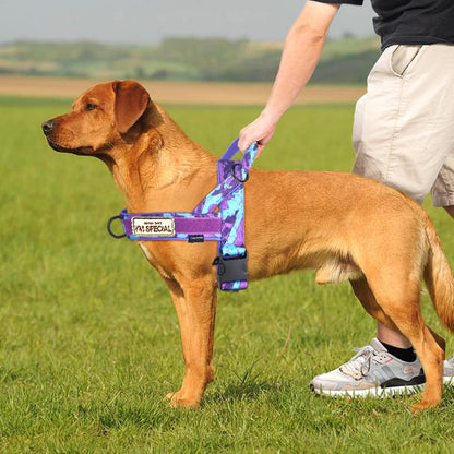 No Pull Dog Harness with Soft Padded Handle,Reflective Strip Escape Proof and Quick Fit to Adjust Harness,Easy for Training Walking for Small & Medium and Large Dogs(Green,L)