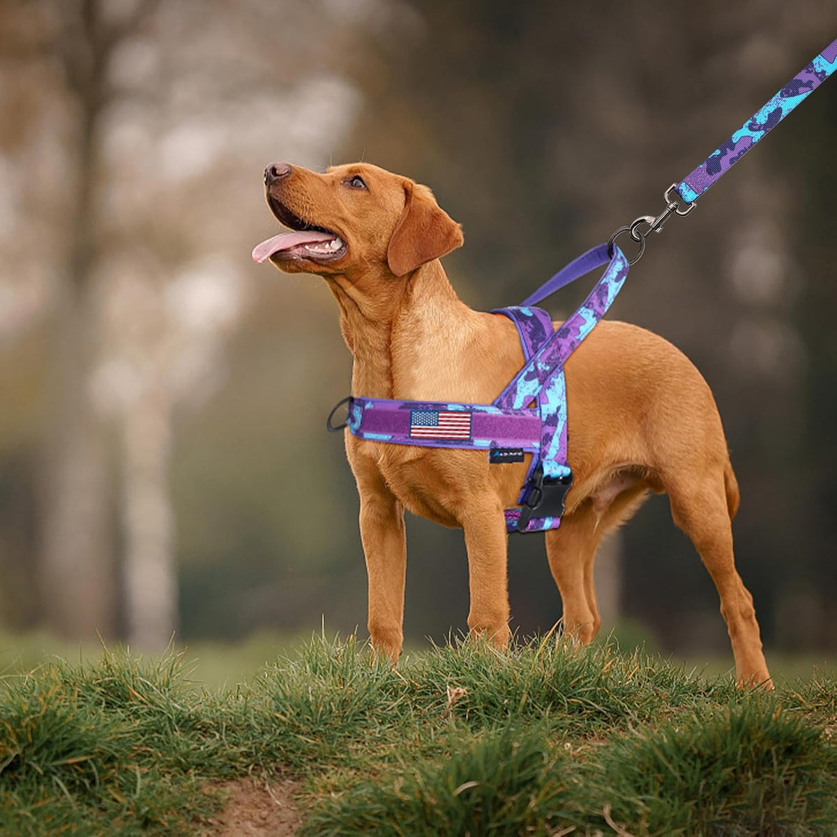 No Pull Dog Harness with Soft Padded Handle,Reflective Strip Escape Proof and Quick Fit to Adjust Harness,Easy for Training Walking for Small & Medium and Large Dogs(Green,L)