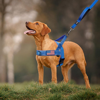 No Pull Dog Harness with Soft Padded Handle,Reflective Strip Escape Proof and Quick Fit to Adjust Harness,Easy for Training Walking for Small & Medium and Large Dogs(Green,L)