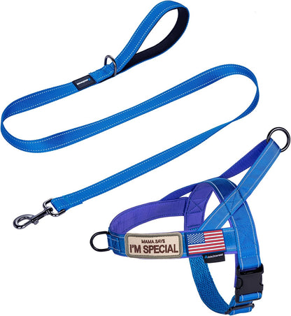 No Pull Dog Harness with Soft Padded Handle,Reflective Strip Escape Proof and Quick Fit to Adjust Harness,Easy for Training Walking for Small & Medium and Large Dogs(Green,L)