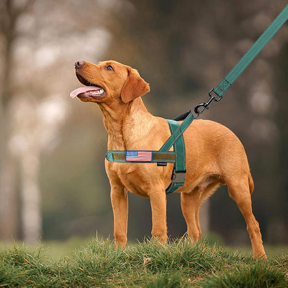 No Pull Dog Harness with Soft Padded Handle,Reflective Strip Escape Proof and Quick Fit to Adjust Harness,Easy for Training Walking for Small & Medium and Large Dogs(Green,L)