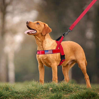 No Pull Dog Harness with Soft Padded Handle,Reflective Strip Escape Proof and Quick Fit to Adjust Harness,Easy for Training Walking for Small & Medium and Large Dogs(Green,L)