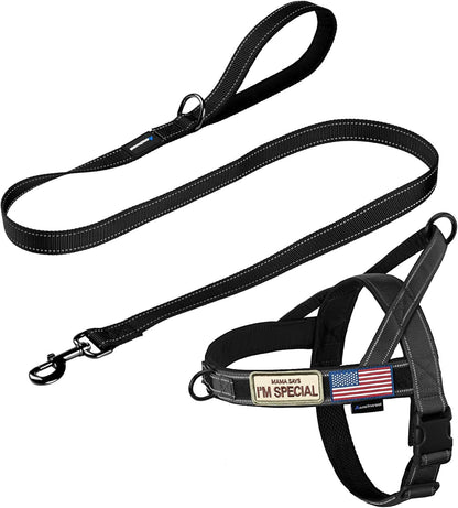 No Pull Dog Harness with Soft Padded Handle,Reflective Strip Escape Proof and Quick Fit to Adjust Harness,Easy for Training Walking for Small & Medium and Large Dogs(Green,L)
