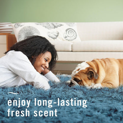 Fabric Spray Air Freshener, Odor-Fighting Fabric Refresher, Sneaker Balls Alternative, Couch Cleaner, Linen Spray, Multi-Use, Pet Odor Fighter Scent, 23.6 fl oz