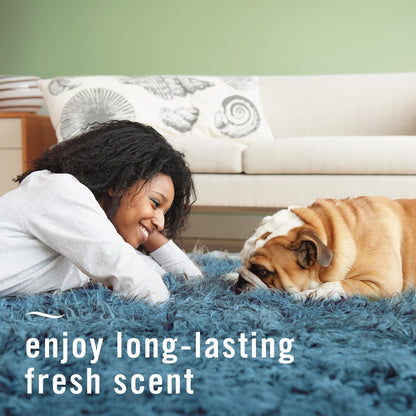 Fabric Spray Air Freshener, Odor-Fighting Fabric Refresher, Sneaker Balls Alternative, Couch Cleaner, Linen Spray, Multi-Use, Pet Odor Fighter Scent, 23.6 fl oz