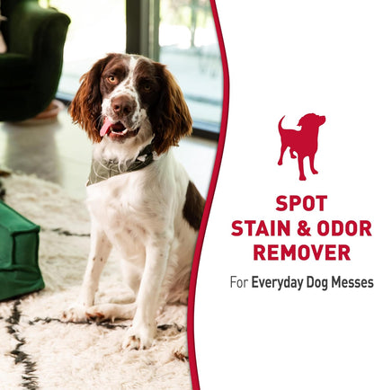 Dog Stain & Odor Remover, Enzymatic Cleaner, 32 oz