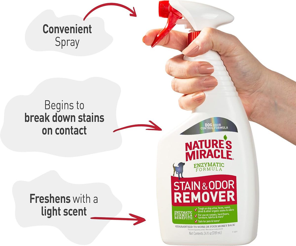 Dog Stain & Odor Remover, Enzymatic Cleaner, 32 oz