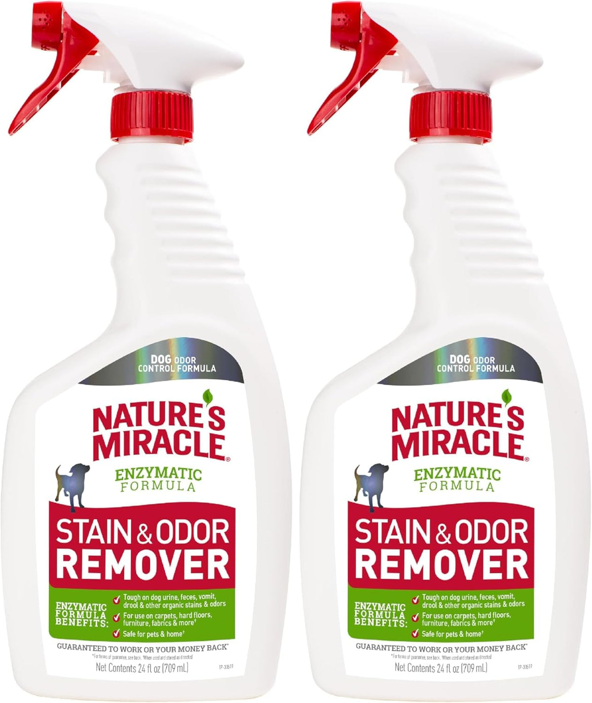 Dog Stain & Odor Remover, Enzymatic Cleaner, 32 oz