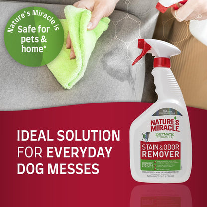 Dog Stain & Odor Remover, Enzymatic Cleaner, 32 oz