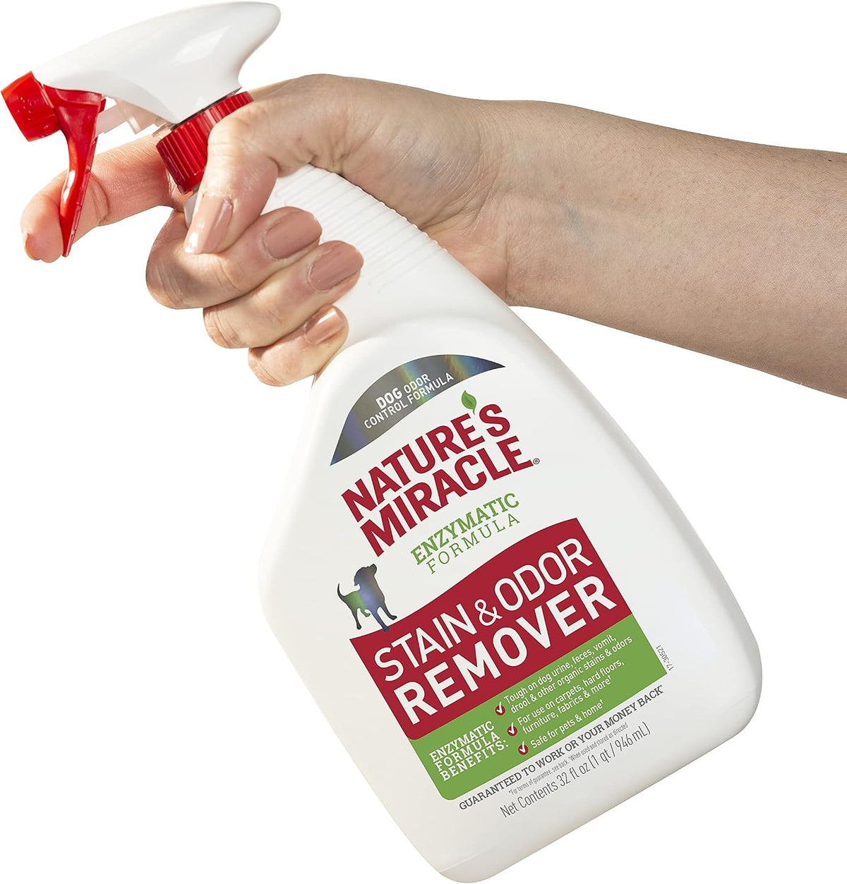 Dog Stain & Odor Remover, Enzymatic Cleaner, 32 oz