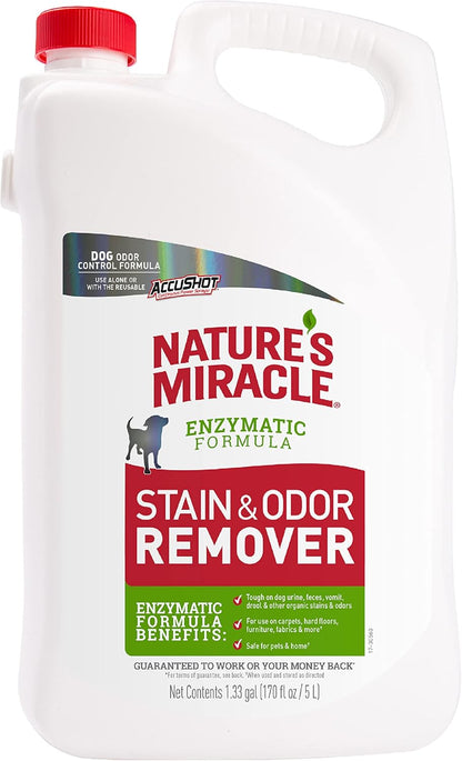 Dog Stain & Odor Remover, Enzymatic Cleaner, 32 oz