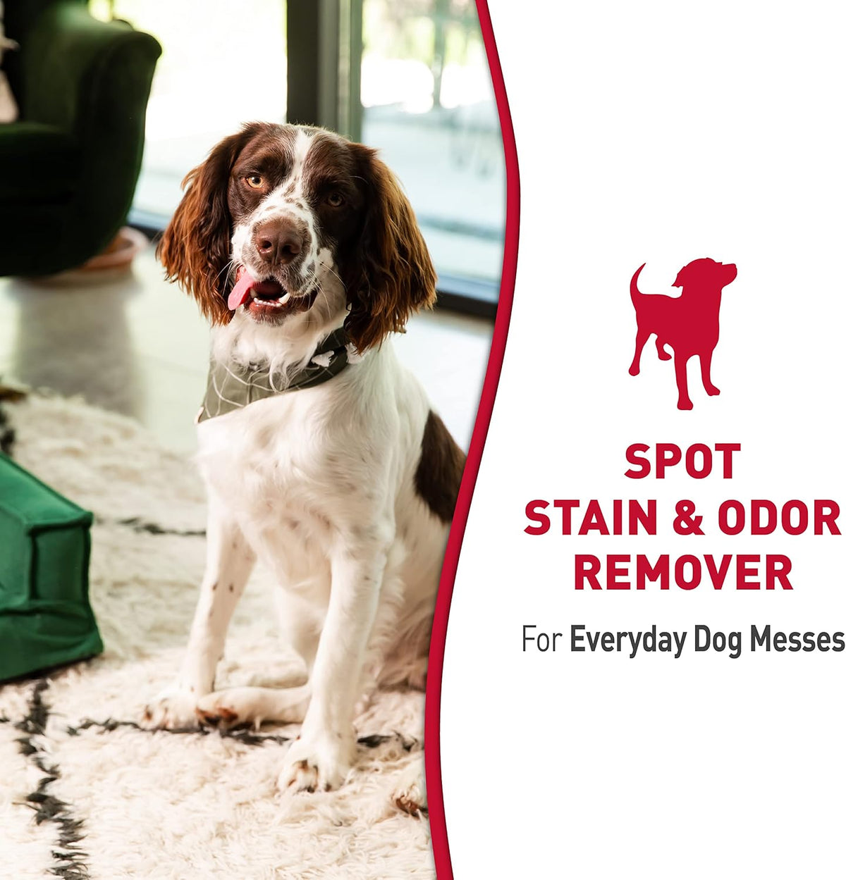 Dog Stain & Odor Remover, Enzymatic Cleaner, 32 oz