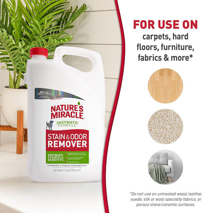 Dog Stain & Odor Remover, Enzymatic Cleaner, 32 oz