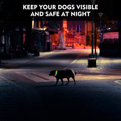 LED Dog Collar, Rechargeable RGB Color Changing Light Up Dog Collars, Waterproof Dog Lights Make Pet Visible and Safety for Night Walking，Outdoor, Camping, for Small Medium Large Dogs
