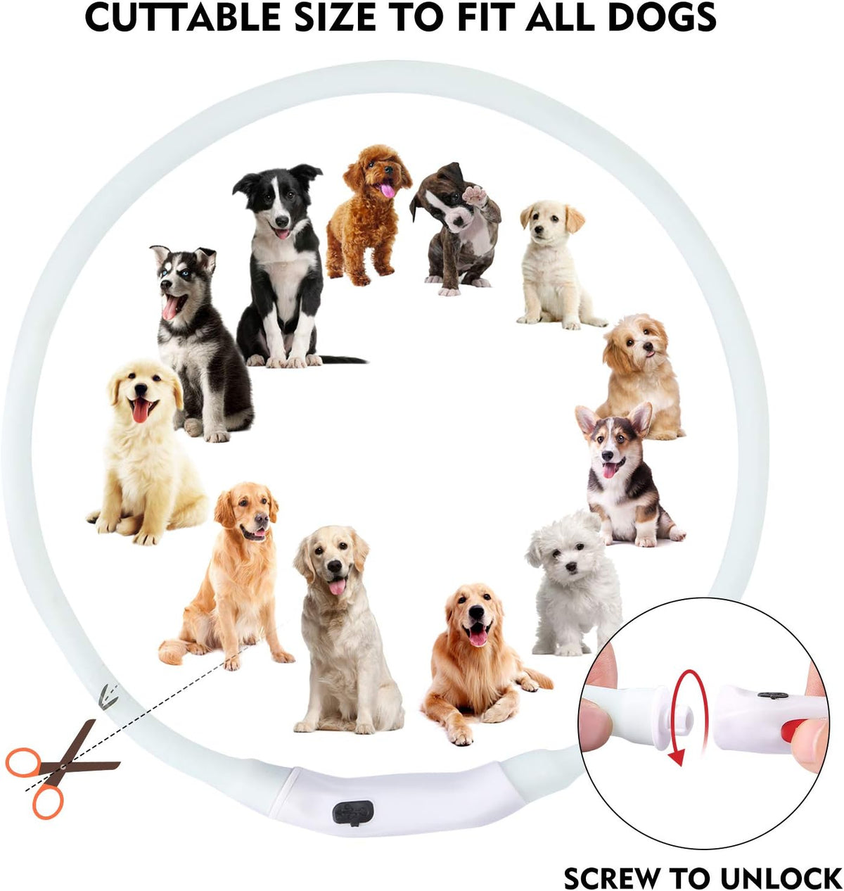 LED Dog Collar, Rechargeable RGB Color Changing Light Up Dog Collars, Waterproof Dog Lights Make Pet Visible and Safety for Night Walking，Outdoor, Camping, for Small Medium Large Dogs