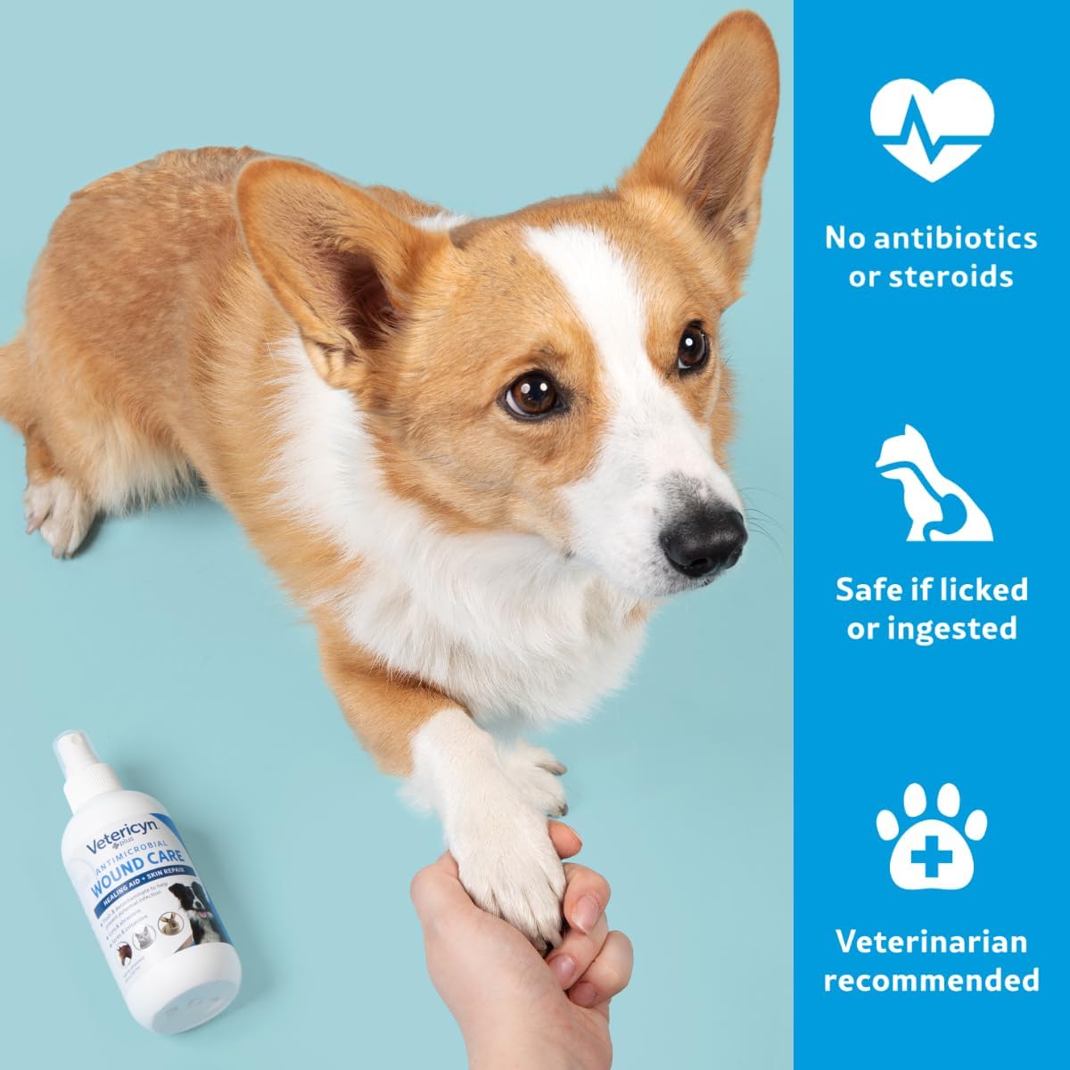 Plus Dog Wound Care Spray | Healing Aid and Skin Repair, Clean Wounds, Relieve Dog Skin Allergies, Safe for All Animals. 3 ounces