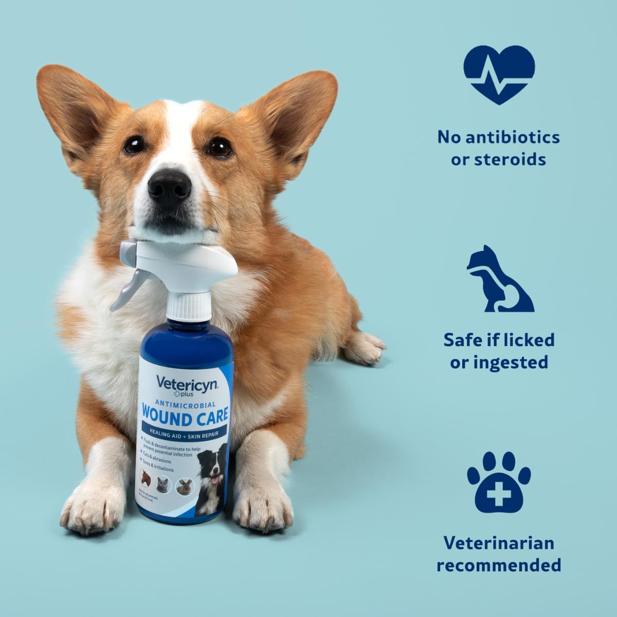 Plus Dog Wound Care Spray | Healing Aid and Skin Repair, Clean Wounds, Relieve Dog Skin Allergies, Safe for All Animals. 3 ounces