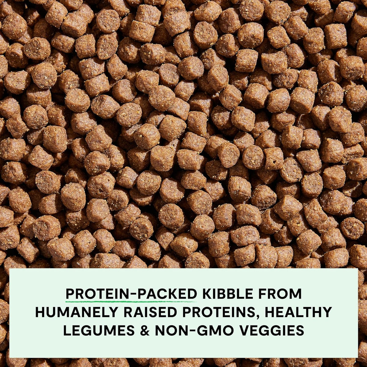 Grain Free Dry Dog Food, Senior Dog Kibble, 22lb Bag