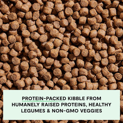 Grain Free Dry Dog Food, Senior Dog Kibble, 22lb Bag