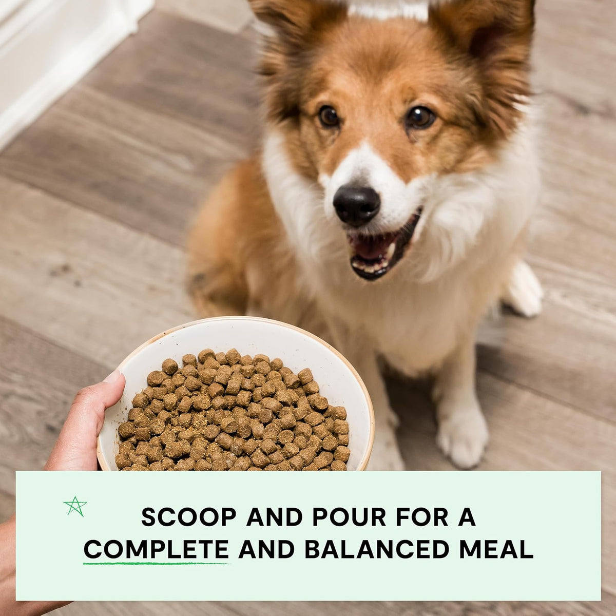 Grain Free Dry Dog Food, Senior Dog Kibble, 22lb Bag