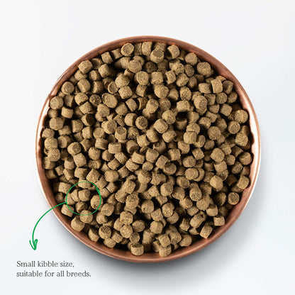Grain Free Dry Dog Food, Senior Dog Kibble, 22lb Bag