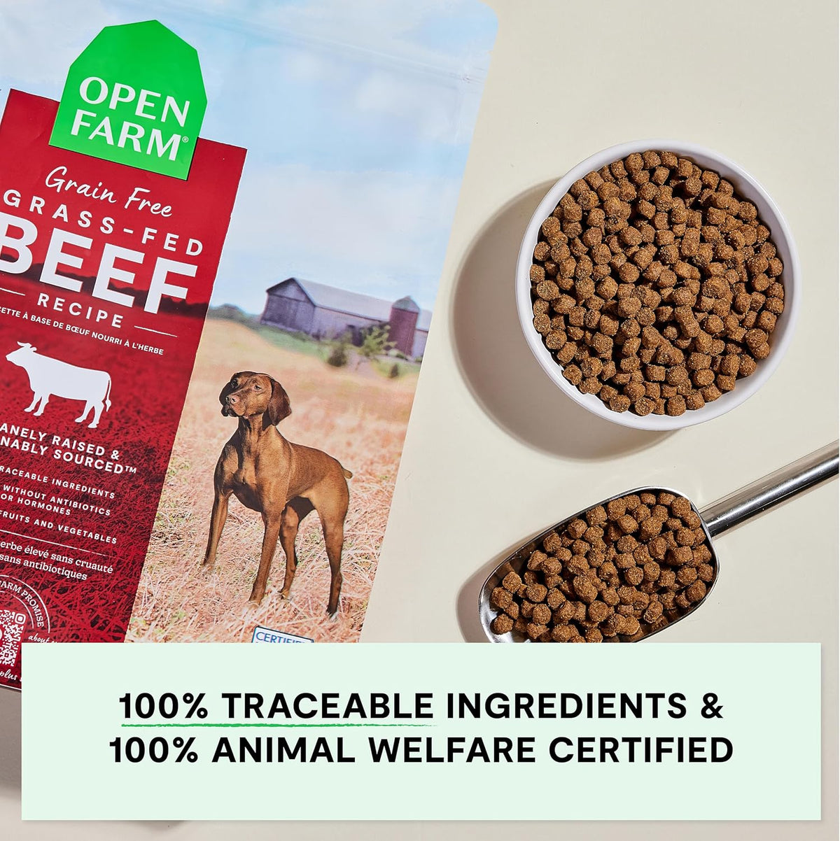 Grain Free Dry Dog Food, Senior Dog Kibble, 22lb Bag