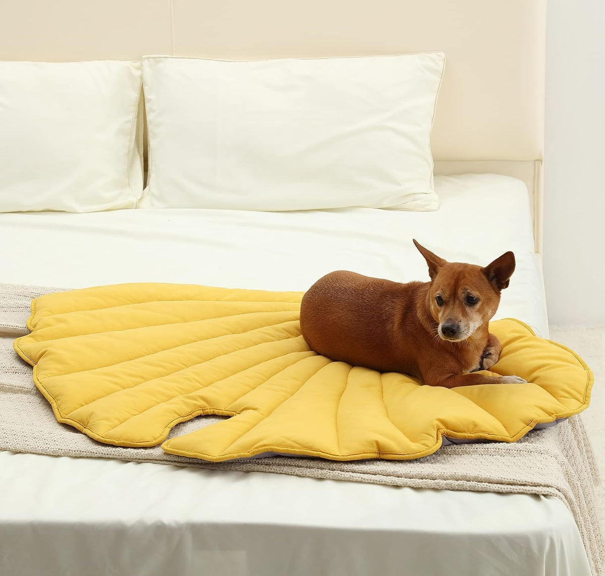 56x42 Inch Leaf Shaped Cotton Dog Blanket, Extra Large Pet Blanket for Small Medium Large Dogs, Machine Washable Puppy Mat for Couch Protection, Soft Plush Dog Bed for Furniture, Sofa, Floor