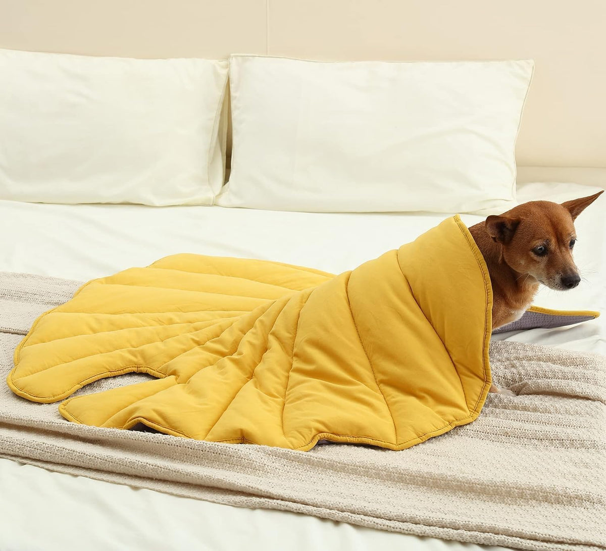 56x42 Inch Leaf Shaped Cotton Dog Blanket, Extra Large Pet Blanket for Small Medium Large Dogs, Machine Washable Puppy Mat for Couch Protection, Soft Plush Dog Bed for Furniture, Sofa, Floor