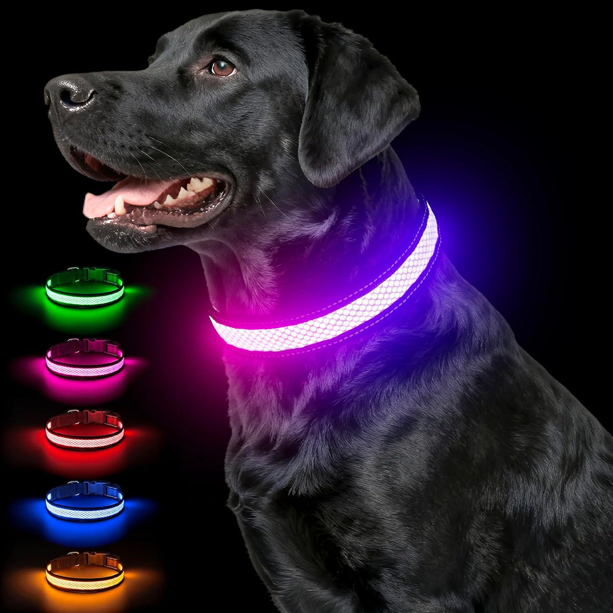 Multicolor Light Up Dog Collar, 5V Waterproof Led Dog Collar Rechargeable, 200 mAh Adjustable Glow in the Dark Dog Collars with 11 Light Modes for Small, Medium, Large Dogs Walk at Night (Large)
