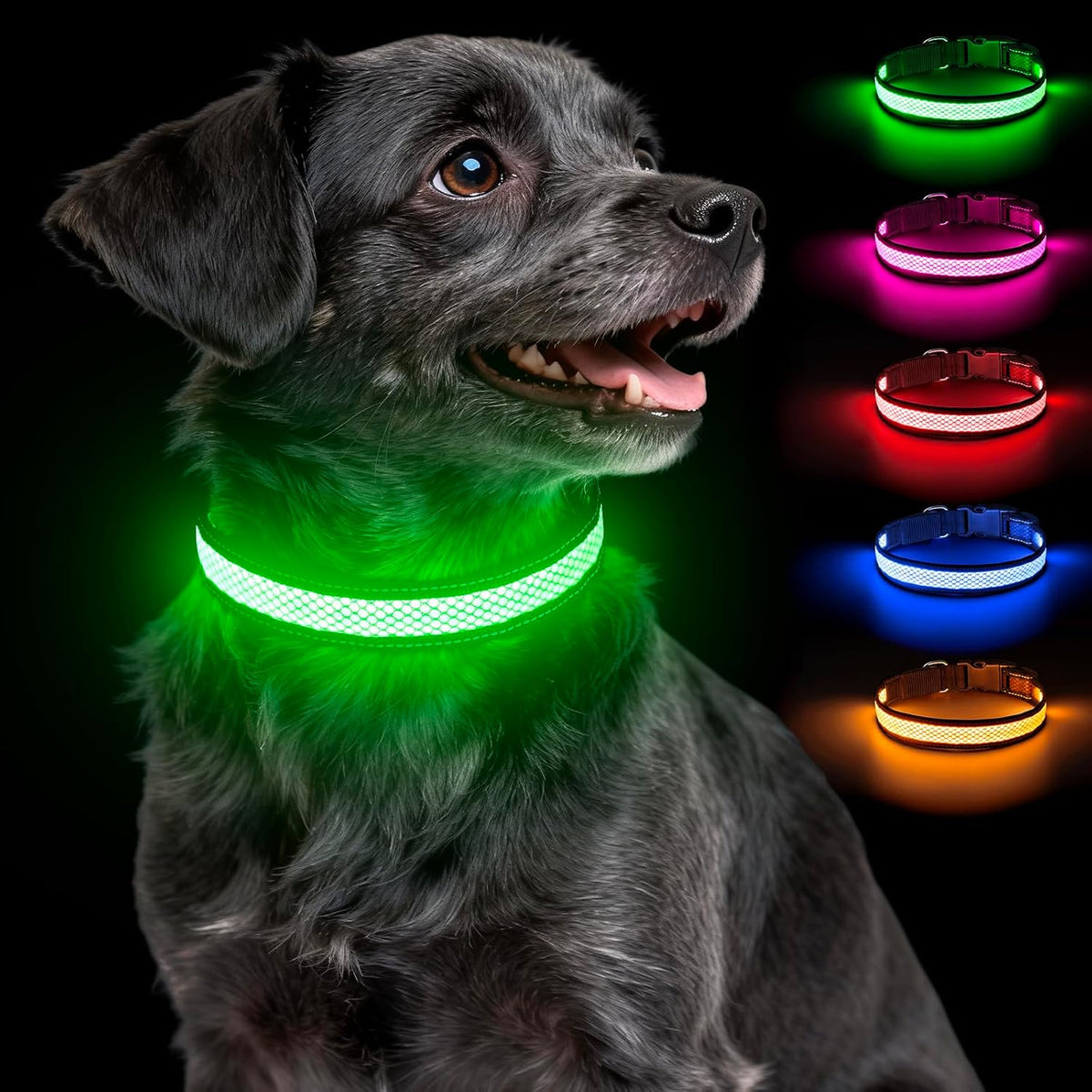 Multicolor Light Up Dog Collar, 5V Waterproof Led Dog Collar Rechargeable, 200 mAh Adjustable Glow in the Dark Dog Collars with 11 Light Modes for Small, Medium, Large Dogs Walk at Night (Large)