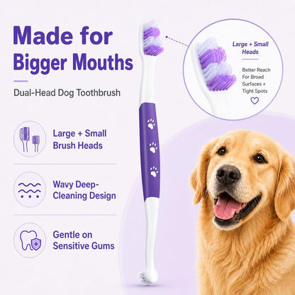 Dog Toothbrush Kit, 2.5oz Toothpaste, Dual-Head & Finger Brush | Gentle Dog Care. For Dogs Over 20 lb. Soft Brush Comfort. Coconut Chicken Flavor. Easy Daily Routine.