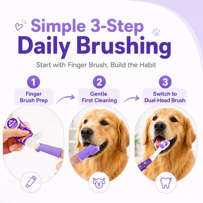 Dog Toothbrush Kit, 2.5oz Toothpaste, Dual-Head & Finger Brush | Gentle Dog Care. For Dogs Over 20 lb. Soft Brush Comfort. Coconut Chicken Flavor. Easy Daily Routine.
