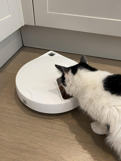 Cat Mate C500 5 Bowl Digital Timer-Controlled Automatic Pet Feeder - 5-Meal Feeder with Stainless Steel Bowl and Ice Packs, Wet or Dry Food, 5 Meals Up To 330 g Each, White