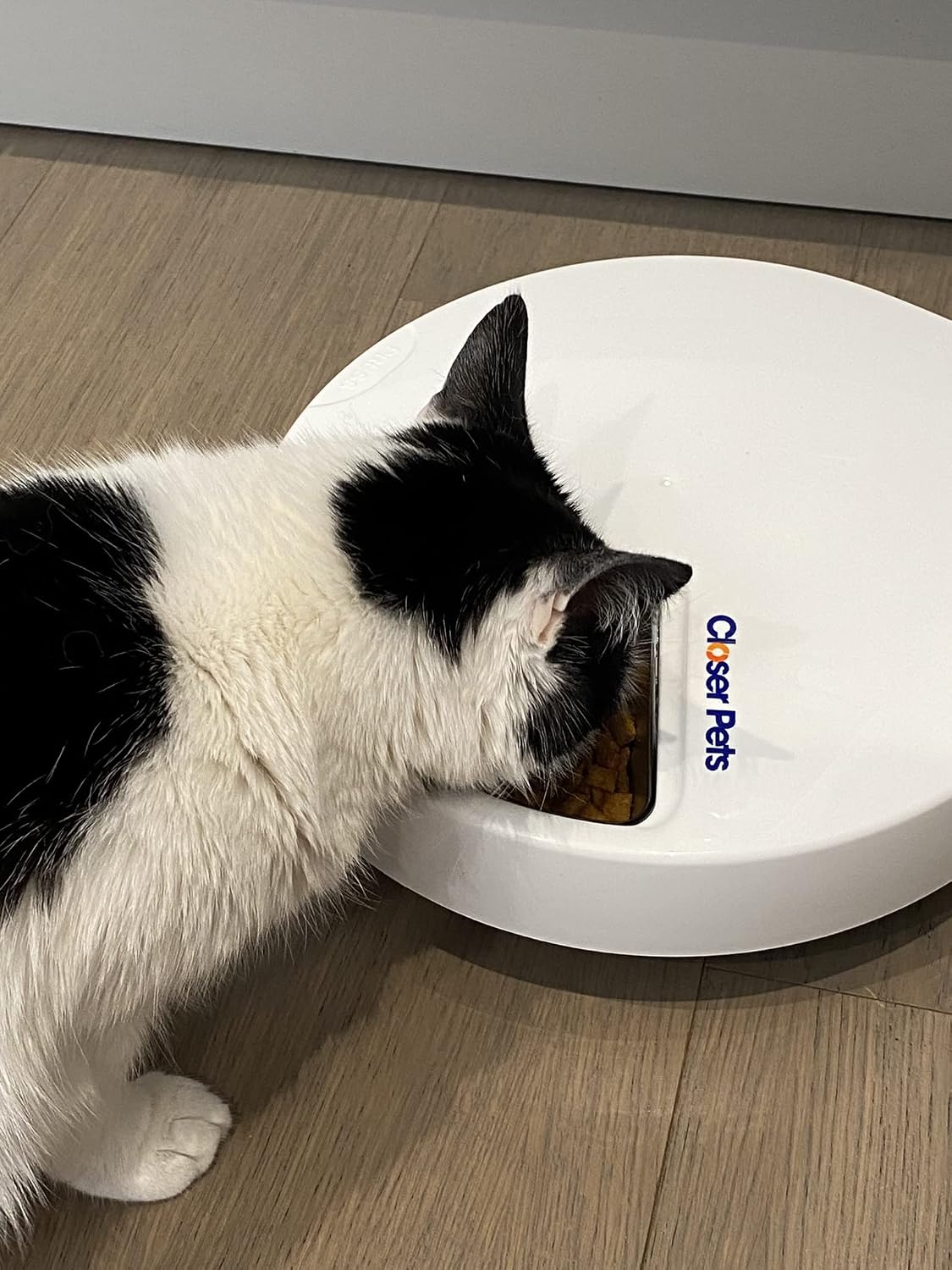 Cat Mate C500 5 Bowl Digital Timer-Controlled Automatic Pet Feeder - 5-Meal Feeder with Stainless Steel Bowl and Ice Packs, Wet or Dry Food, 5 Meals Up To 330 g Each, White