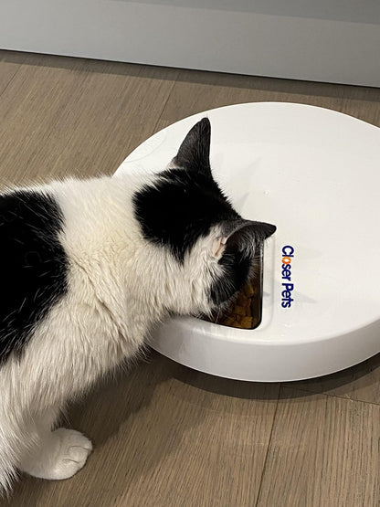Cat Mate C500 5 Bowl Digital Timer-Controlled Automatic Pet Feeder - 5-Meal Feeder with Stainless Steel Bowl and Ice Packs, Wet or Dry Food, 5 Meals Up To 330 g Each, White