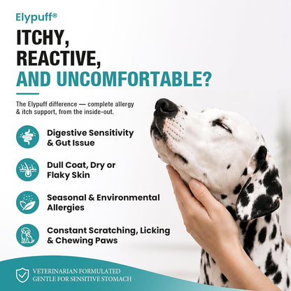 Dog Allergy Chews 130ct - Itch Relief Dog Allergy and Itching Skin Relief Anti Itch Aller Immune Bites for Dogs Licking Paws Treatment - Probiotics Vitamins for Itchy Skin, Ears & Yeast,Chicken Flavor