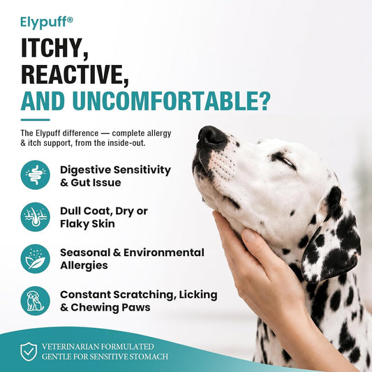 Dog Allergy Chews 130ct - Itch Relief Dog Allergy and Itching Skin Relief Anti Itch Aller Immune Bites for Dogs Licking Paws Treatment - Probiotics Vitamins for Itchy Skin, Ears & Yeast,Chicken Flavor