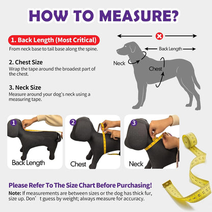 Kimee Dog Raincoat Waterproof Dog Rain Jacket for Small to 3X-Large Dogs, M
