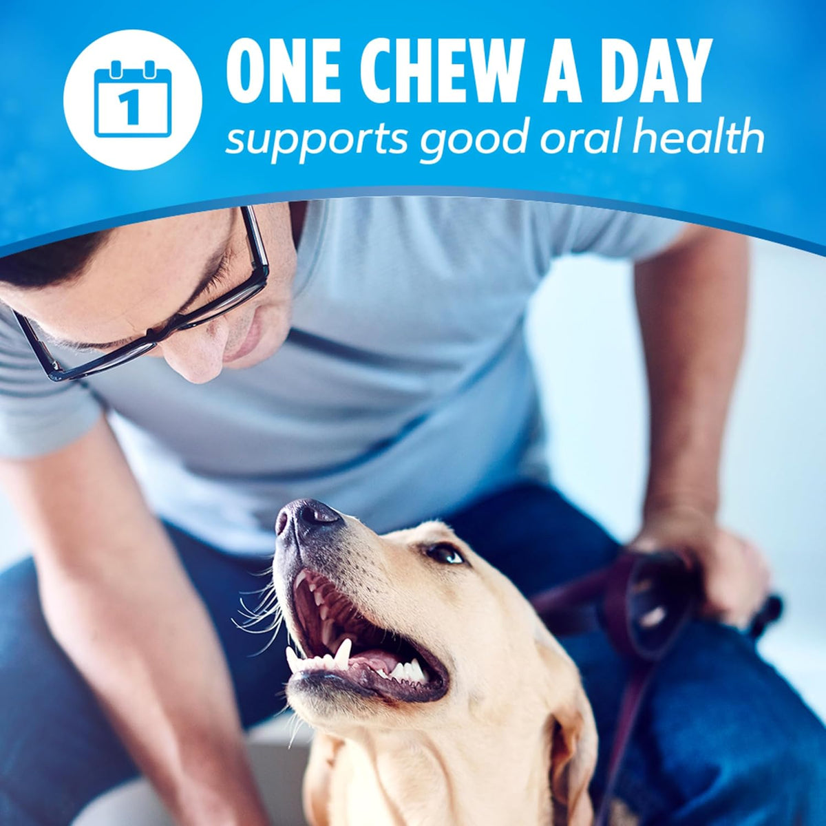 Purina Daily Dental Chews for Large Dogs, Pouch