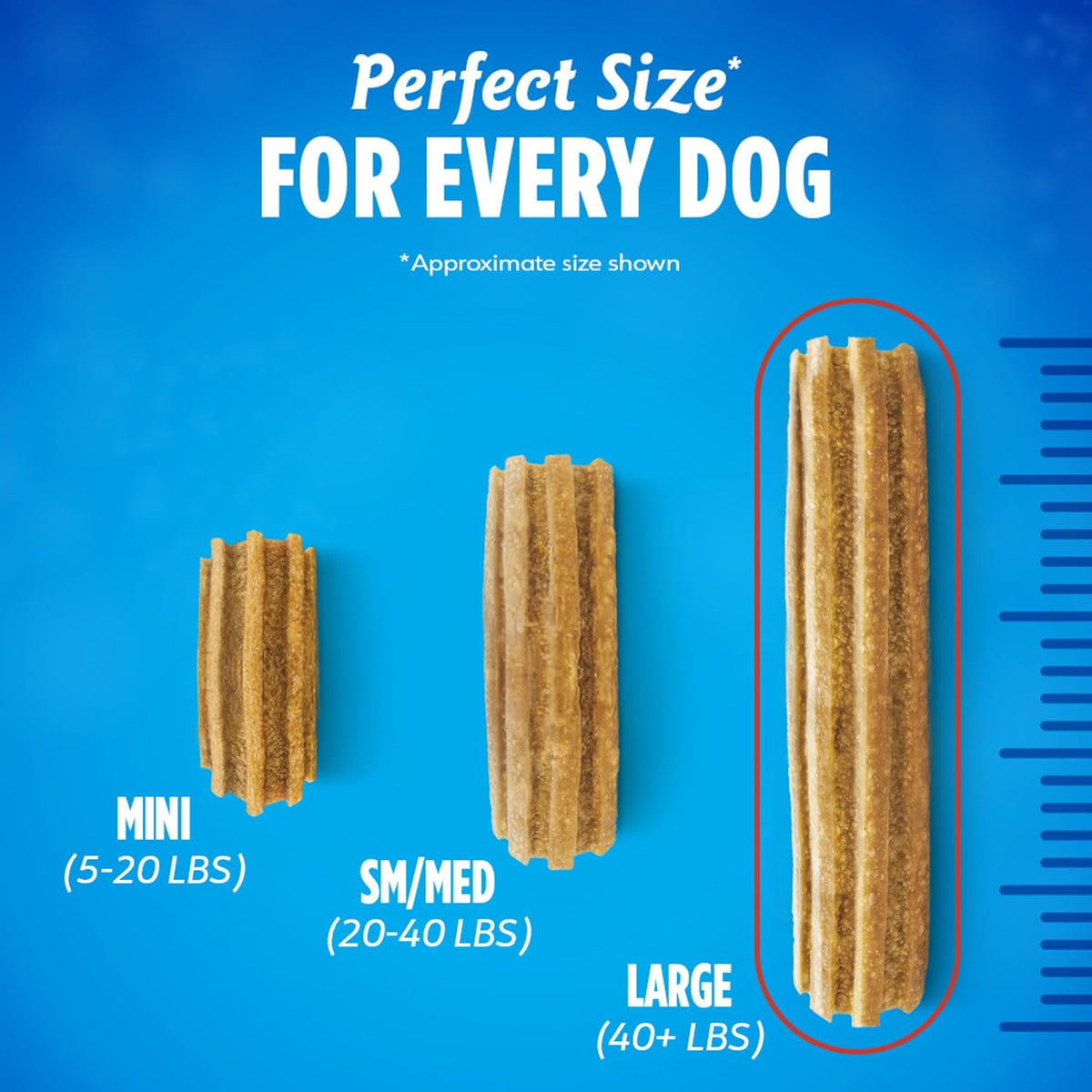 Purina Daily Dental Chews for Large Dogs, Pouch