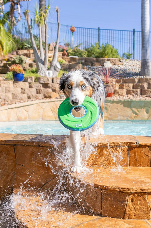 ! Amphibious ZipFlight Floating and Flying Disc Dog Toy, Medium (8.5"), Assorted Colors (Orange And Blue/Green and Blue)
