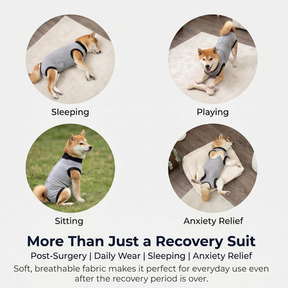 Dog Recovery Suit After Surgery, Abdominal Wound Protection Onesie, Anti-Licking Substitute for E-Collar & Cone, Relieves Anxiety, Easy to Put On, Suitable for Male & Female Dogs (Black, Medium)
