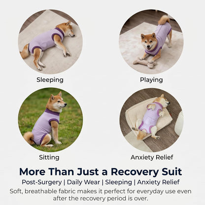 Dog Recovery Suit After Surgery, Abdominal Wound Protection Onesie, Anti-Licking Substitute for E-Collar & Cone, Relieves Anxiety, Easy to Put On, Suitable for Male & Female Dogs (Black, Medium)