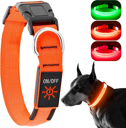 Light Up Dog Collar, Rechargeable USB Collar, Waterproof, Luminous LED Collar, Adjustable, Super Bright, Night Walking for Small Medium Large Dogs, Orange, M