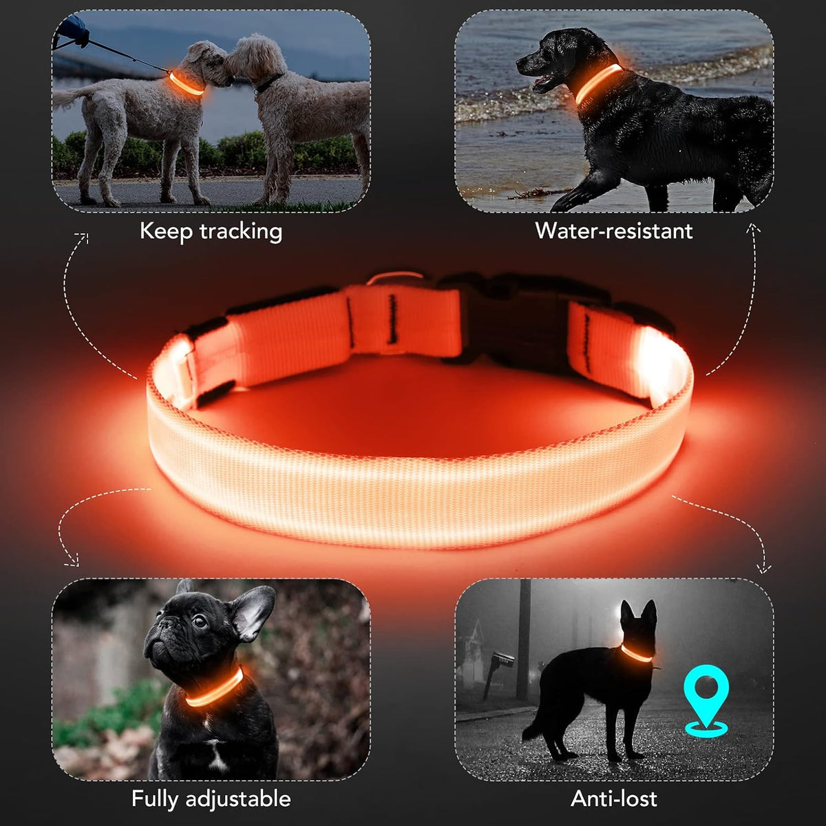Light Up Dog Collar, Rechargeable USB Collar, Waterproof, Luminous LED Collar, Adjustable, Super Bright, Night Walking for Small Medium Large Dogs, Orange, M